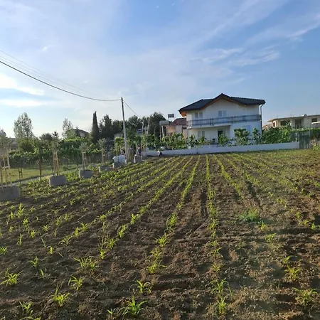 Kalaj Apartman